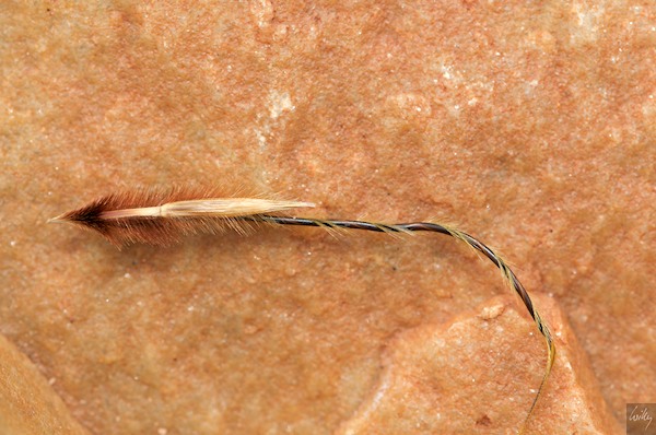 AustraliaPerth 10  186